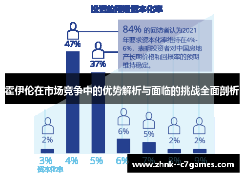 霍伊伦在市场竞争中的优势解析与面临的挑战全面剖析